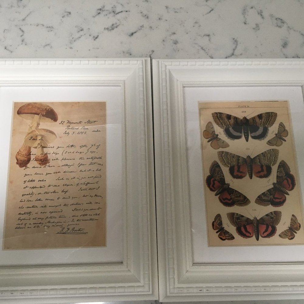 Framed Prints (2)